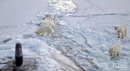 руснаци норвежци изследват заедно арктика