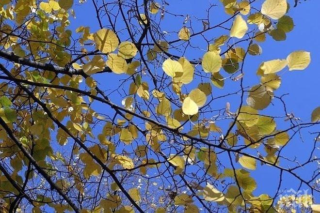 НИМХ: Най-топло днес е било в Кърджали
