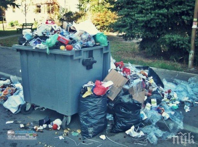 Василева: Европа може да накаже България заради боклуците