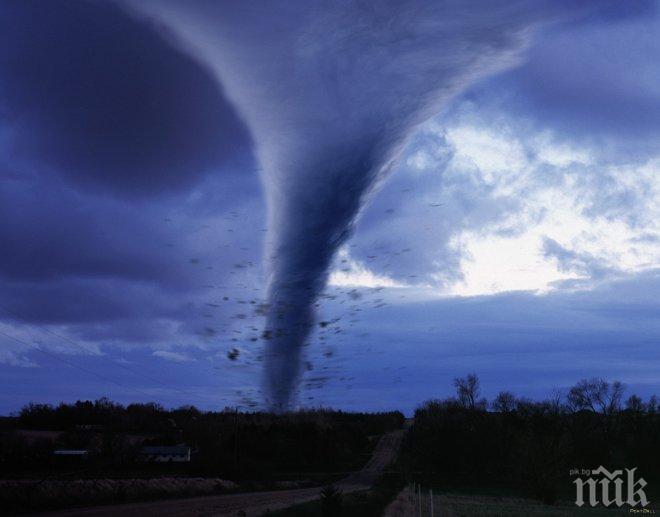 Учени: Птиците предсказват торнадо и други природни катаклизми 