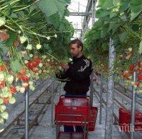 Родните джебчийки заминали на гурбет в чужбина