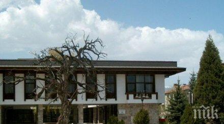 два фестивала банско догодина