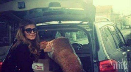 похвално анелия раздава храна нуждаещи снимка