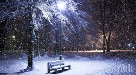 софия заваля сняг