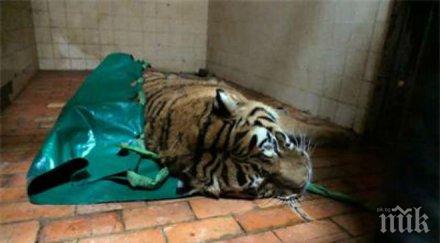 напролет ремонтират зоопарка софия