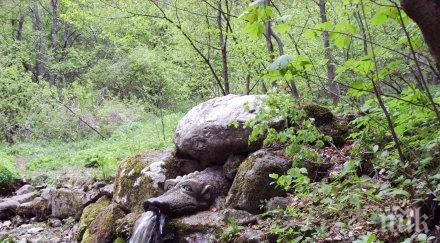 змей пази лечебен извор село боснек