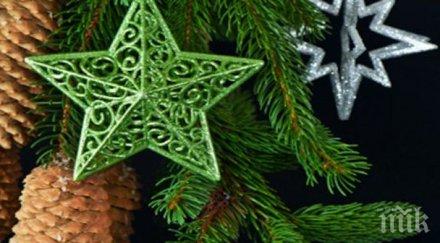 издигнаха метрова елха пластмасови бутилки мексико