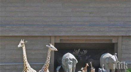 руснаци готвят ноев ковчег милиард евро