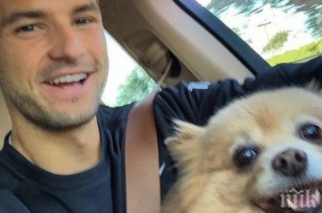 Гришо взе кучето на Маша за навигатор 