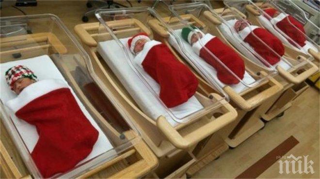 Трогателно! Изписват в коледни чорапчета родените по празниците бебета