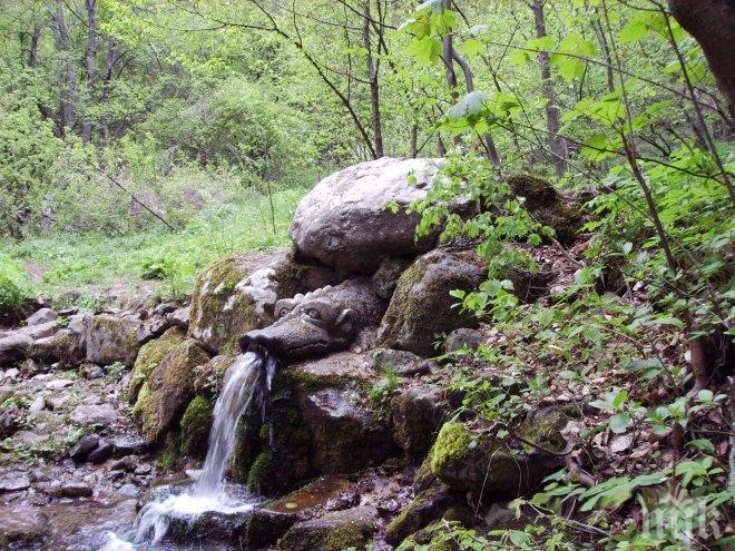 Змей пази лечебен извор в село Боснек