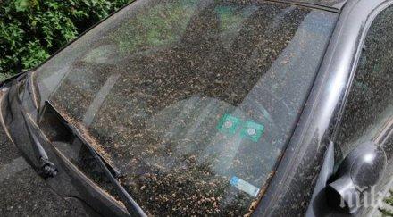 наднормено запрашаване въздуха измерено девет града