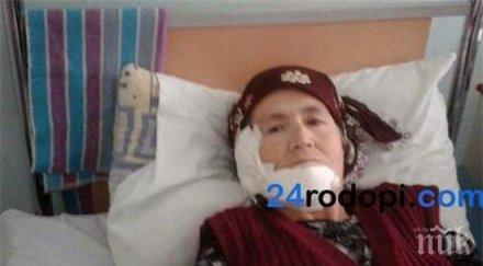 нахапаната куче кърджали кучето нападна гръб