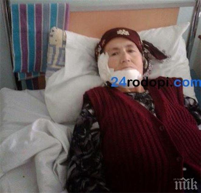 Нахапаната от куче край Кърджали: Кучето ме нападна в гръб	