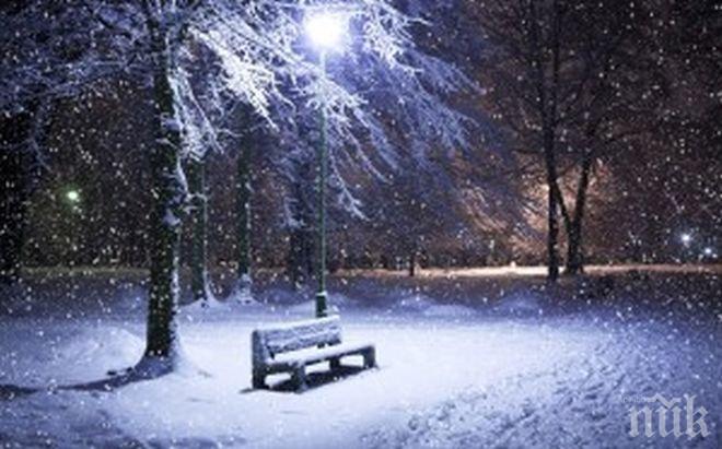 Европа в хаос заради силни снеговалежи 