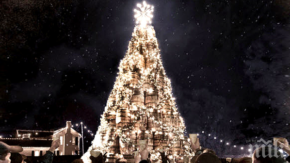 Американец пази 40-годишна елха в дома си