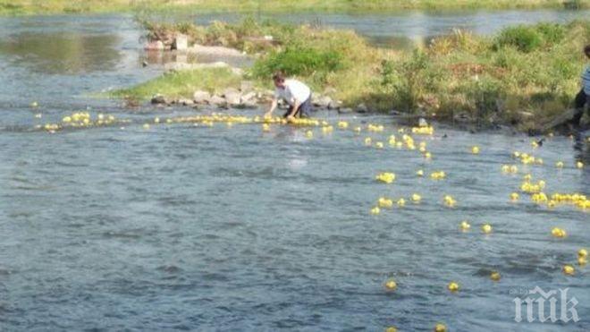 Очаква се река Марица да повиши нивото си