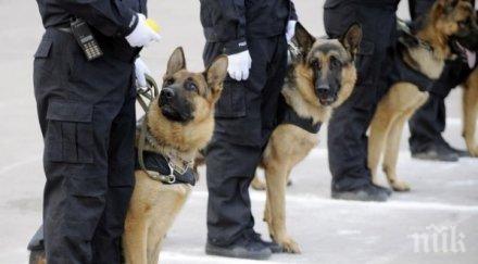 онлайн кампания събира пари бронирани жилетки полицейските кучета