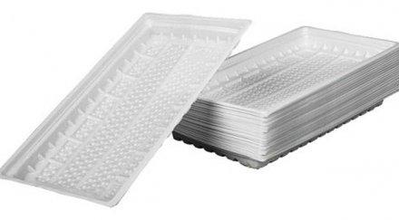 учени пластмасовите чинии вредят бъбреците