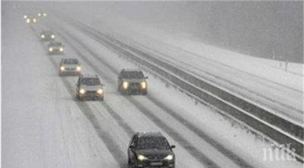 апи съветват пътувайте светло пълни резервоари колите