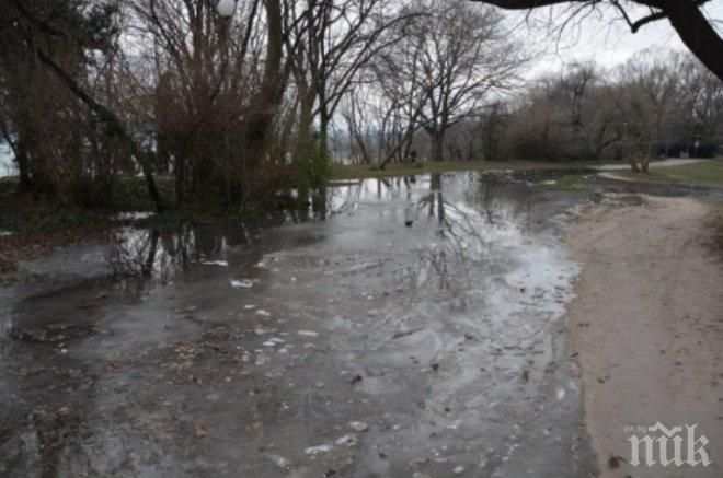 Варненци притеснени! Езеро се образува в Морската градина, вода извира изпод алеята (снимки)