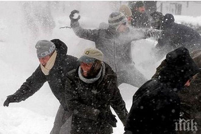 30 сантиметра сняг паднаха в пустинята в Аризона 