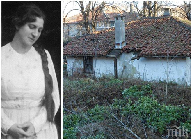 Спасете музея на Адриана Будевска! 