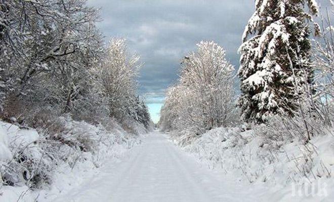 Снежен ад! Закъсали бедстват 12 часа на затрупан път. Лиляна Павлова: Изпратена е помощ (обновена)
