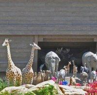 Зоополиция ще следи за насилието над животни