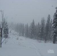 Над 85000 домакинства в Естония останаха без ток заради силна буря