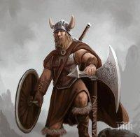 Учени: Глисти правели викингите толкова свирепи 
