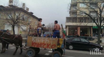 кобрата наби кличко сурвакарския фестивал благоевград