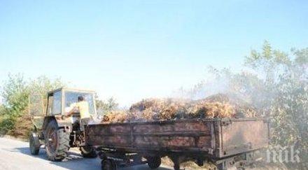 швейцарците луднаха родни къщи слама