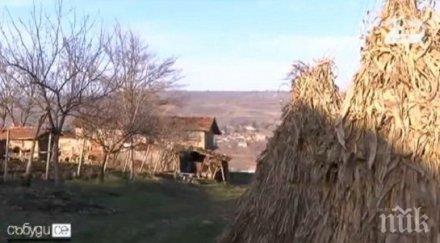 дават имоти наем без пари