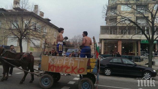 Кобрата наби Кличко на сурвакарския фестивал в Благоевград