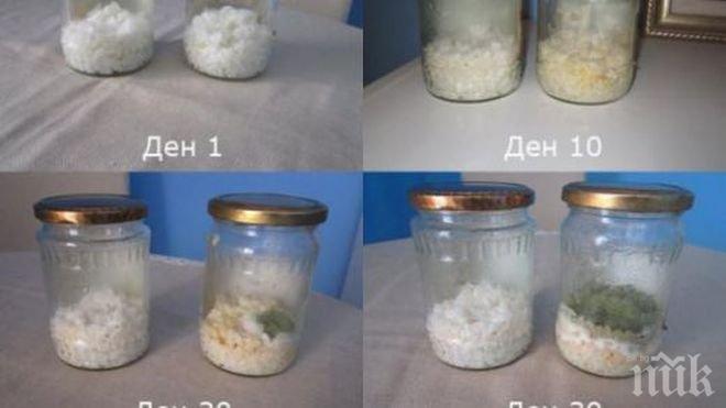 Смайващо! Българин говори в продължение на месец на два буркана с оризови зърна - резултатът е потресаващ!