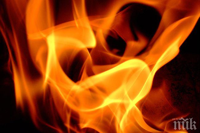 Пожар бушува в лозови масиви край Асеновград
