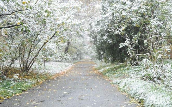 В Кърджали са отчели най-ниската температура за деня 