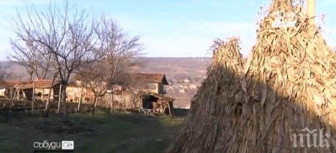 Дават имоти под наем без пари