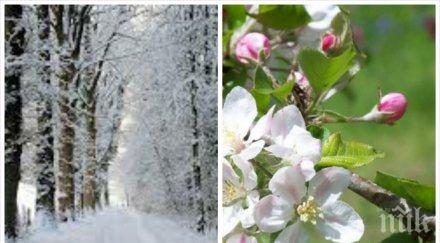 извънредно пик нова аномалия климата минус градуса после градусите скачат изведнъж неделя пролет