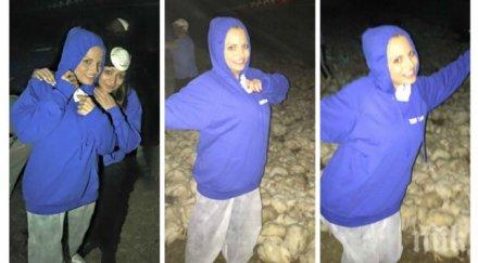 юнона гледа кокошки белгия