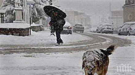 гърция замръзва крит побеля въоръжените сили готовност