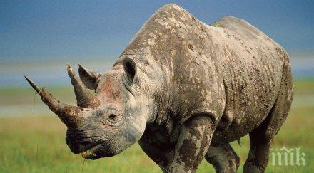 2015 година животински вида застрашени изчезване