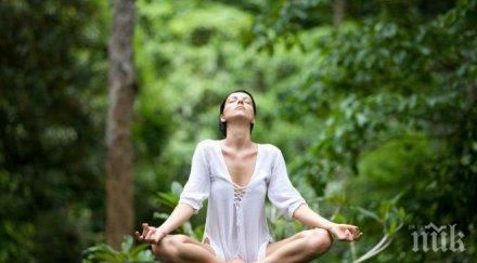 уникален тест показва дали материализирате желанията страховете проверете