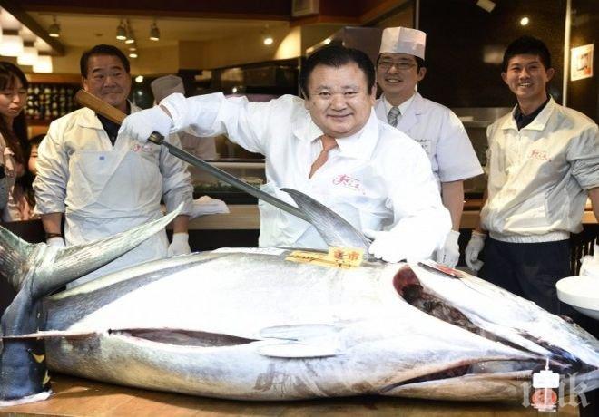 Платиха 37 000 долара за една риба в суши ресторант