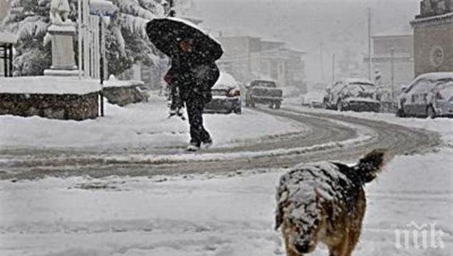 Гърция замръзва, Крит побеля, въоръжените сили са в готовност