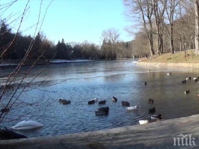 Езерото в Благоевград замръзна 