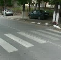 Шофьор помете жена на зебра и избяга!