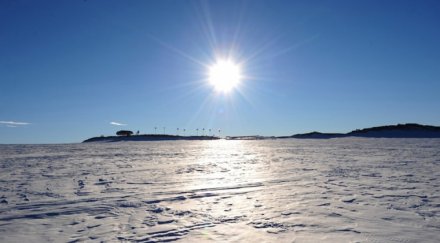 посрещаме нова година къси панталони