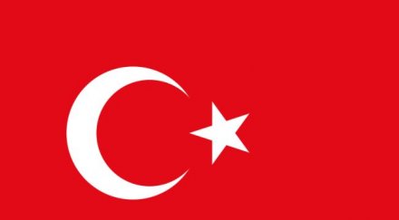 турция журналисти затвора